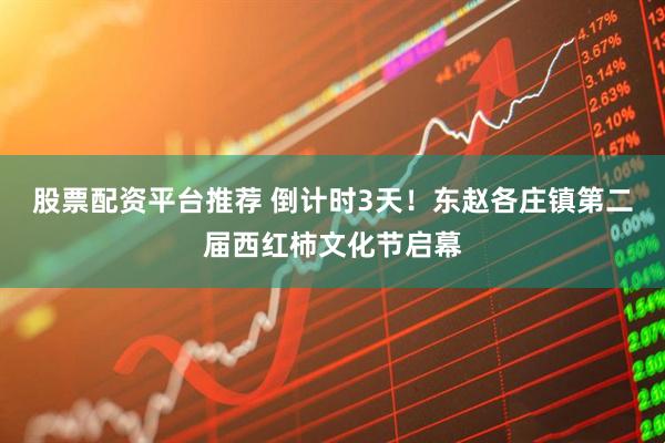 股票配资平台推荐 倒计时3天！东赵各庄镇第二届西红柿文化节启幕