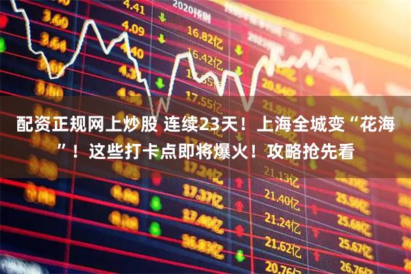 配资正规网上炒股 连续23天！上海全城变“花海”！这些打卡点即将爆火！攻略抢先看