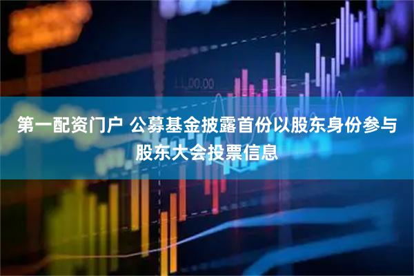 第一配资门户 公募基金披露首份以股东身份参与股东大会投票信息
